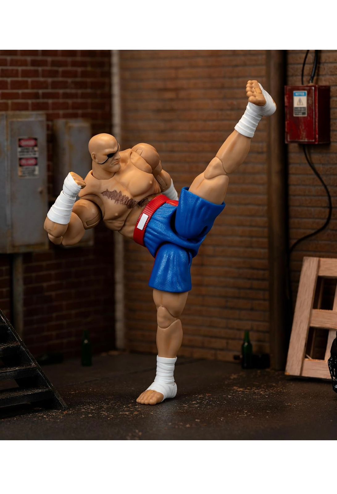 Sagat Action Figure