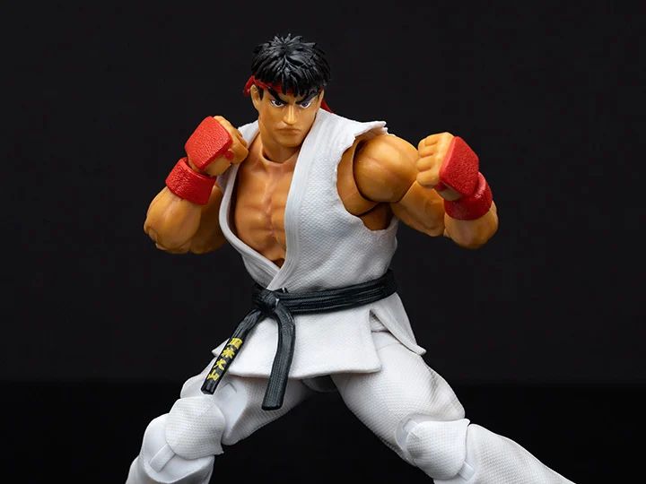 Ryu Action Figure